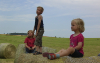 Kinder auf Heuballen