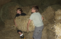 Kinder tragen einen Strohballen